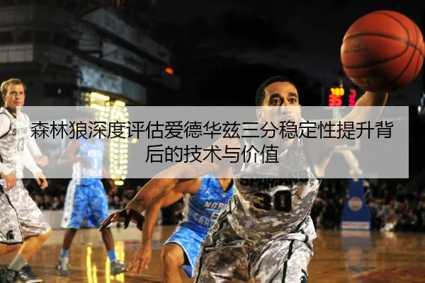 森林狼深度评估爱德华兹三分稳定性提升背后的技术与价值
